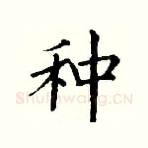 种
