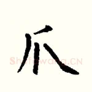 爪