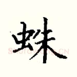 蛛