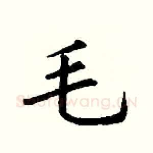 毛
