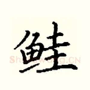 鲑