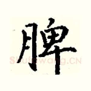 脾