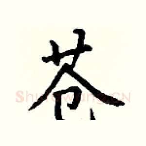 苍