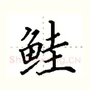 鲑