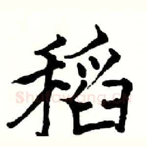 稻