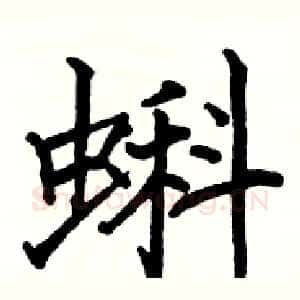 蝌