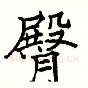 臀
