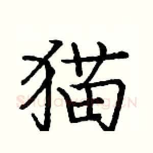 猫