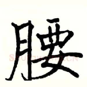 腰
