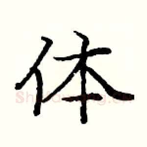 体