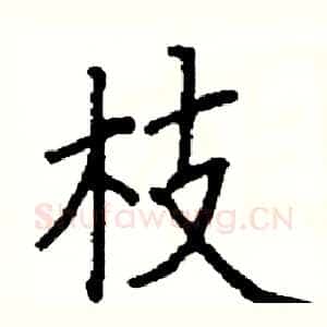 枝