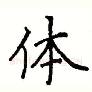 体