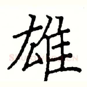 雄
