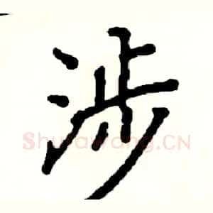 涉