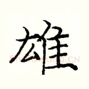 雄