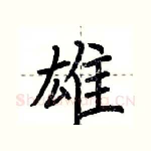 雄