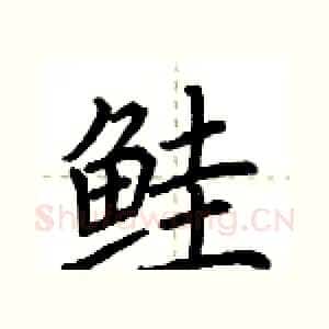 鲑
