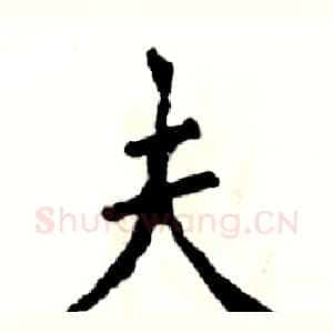夫