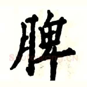 脾