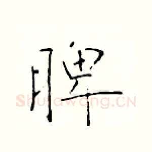 脾