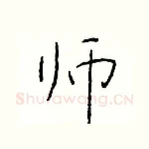 师