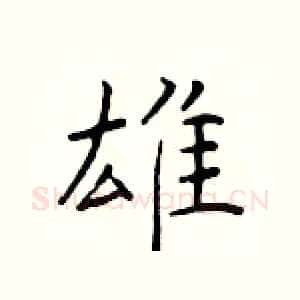 雄