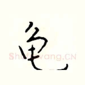 龟
