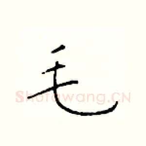 毛