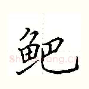 鲃