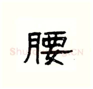 腰硬笔隶书写法,摘自杨为国硬笔书法字帖
