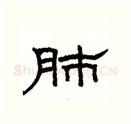肺硬笔隶书写法,摘自骆恒光硬笔书法字帖