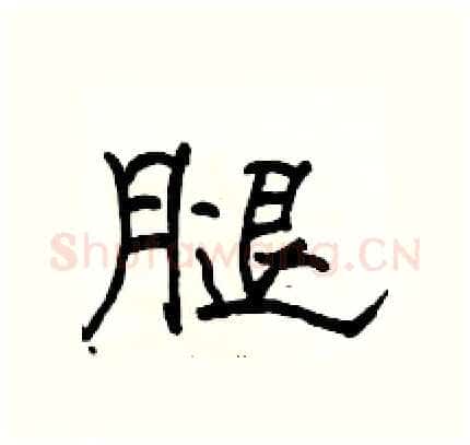 腿硬笔隶书写法,摘自骆恒光硬笔书法字帖