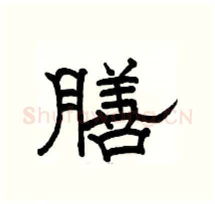膳硬笔隶书写法,摘自骆恒光硬笔书法字帖