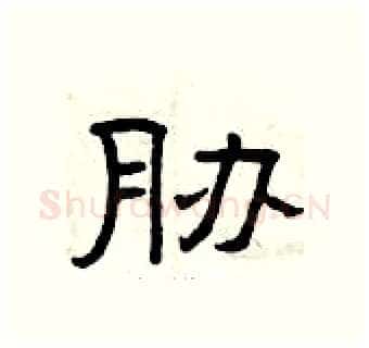 胁硬笔隶书写法,摘自曾庆福硬笔书法字帖