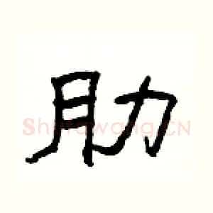 肋