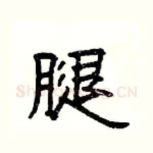 腿