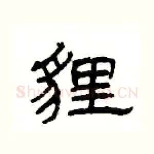 貍