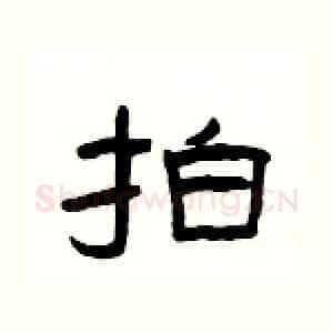 拍