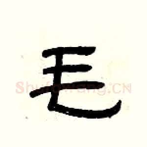毛