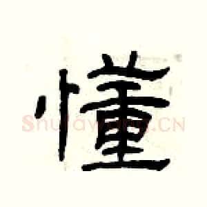 懂