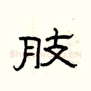 肢