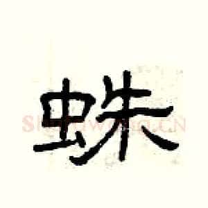 蛛