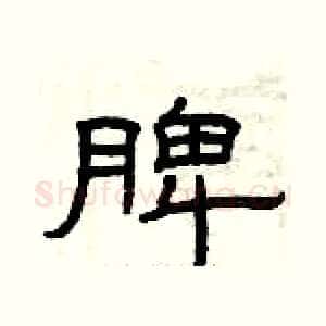 脾