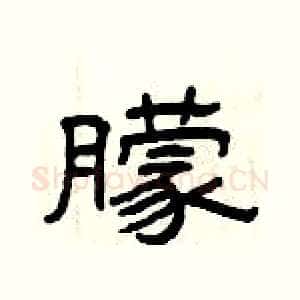 朦