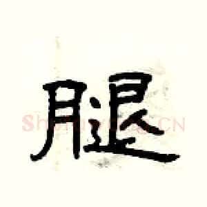 腿