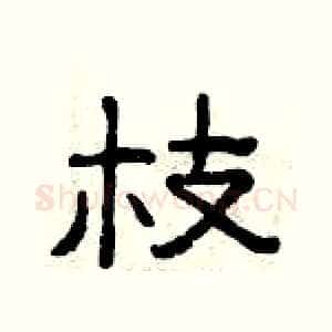 枝