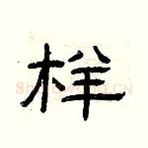 样