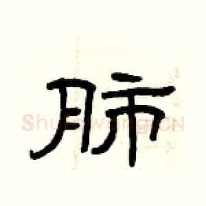 肺