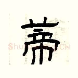 蒂