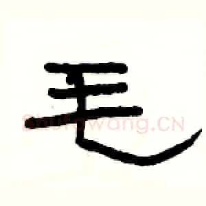 毛